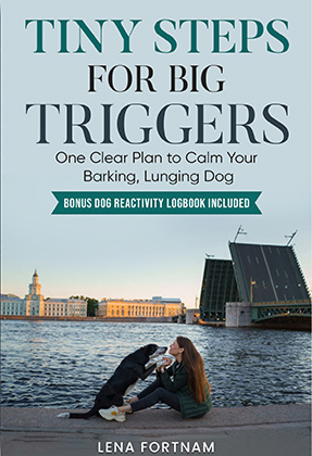 Fiction Book